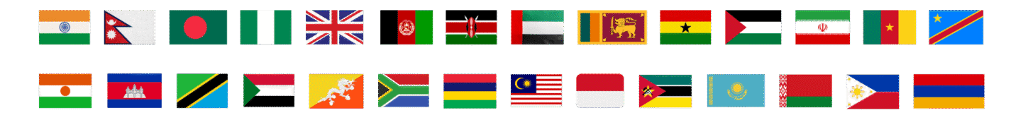 Flags representing The Fertilis Academy global learning community